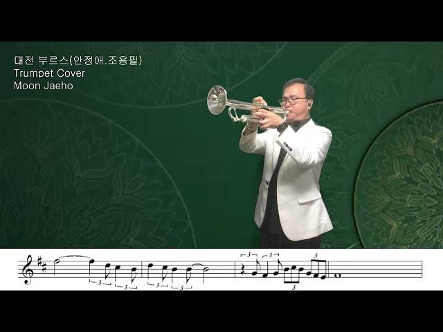 대전 부르스(안정애.조용필)Trumpet Cover Moon Jaeho