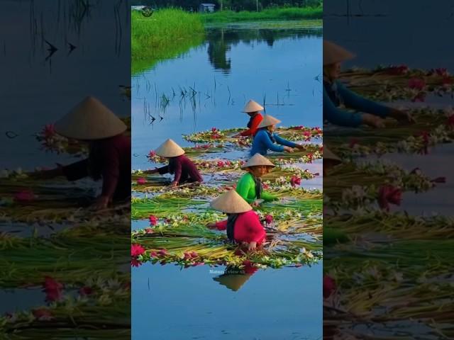 Places On Earth That Don't Feel Real #travel #adventure #explore #nature #shorts