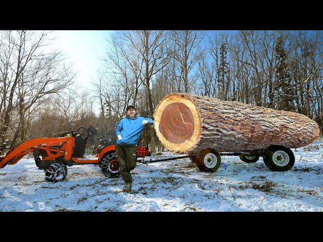 Ep.18 Off Grid Cabin Needs Siding - Skidding the BIGGEST LOG OF MY LIFE!