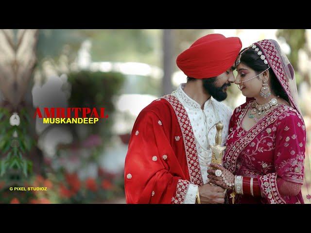 Amritpal + Muskandeep l Wedding Highlights 2024 | A Film By G PIXEL STUDIOZ