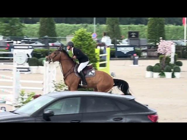 Haraminka. Clear 1.45 Class. CSI 3* Peelbergen. 16/5/24