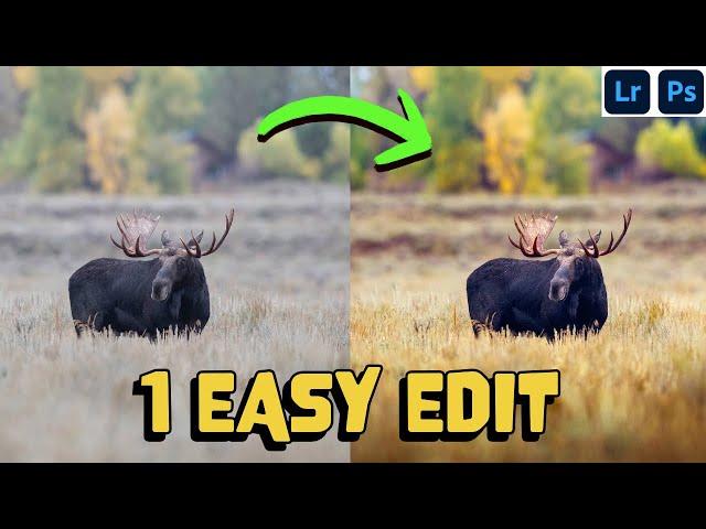 1 Editing Feature to TRANSFORM your photos in Photoshop and Lightroom