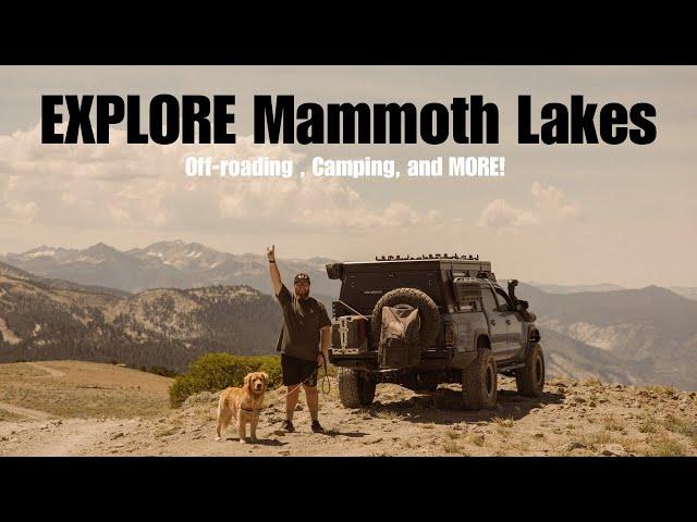 We Found The Best Offroading And Camping In Mammoth Lakes!