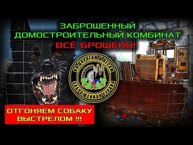 Мы нашли завод с брошенным оборудованием (Заброшенная страна - выпуск 42)
