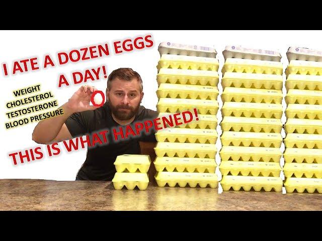 I Ate A Dozen Eggs A Day - Here Is What Happened To My Weight, Cholesterol, Testosterone and More!