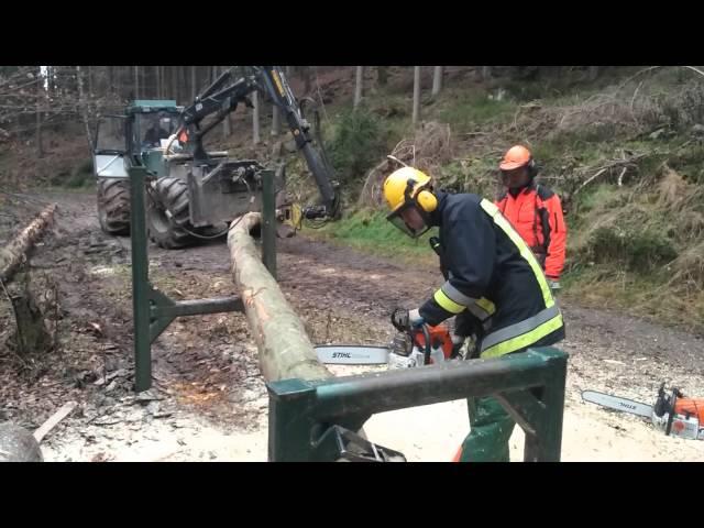 Holz in Spannung