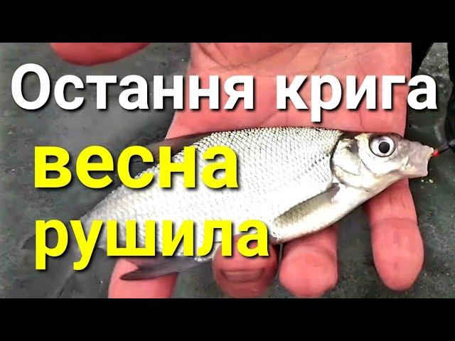 Риболовля на затоці Десенка. Остання крига. Весна прийшла.