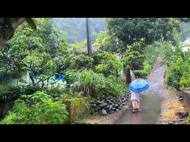 Rain in rural Indonesia||a perfect place to live||so relaxing