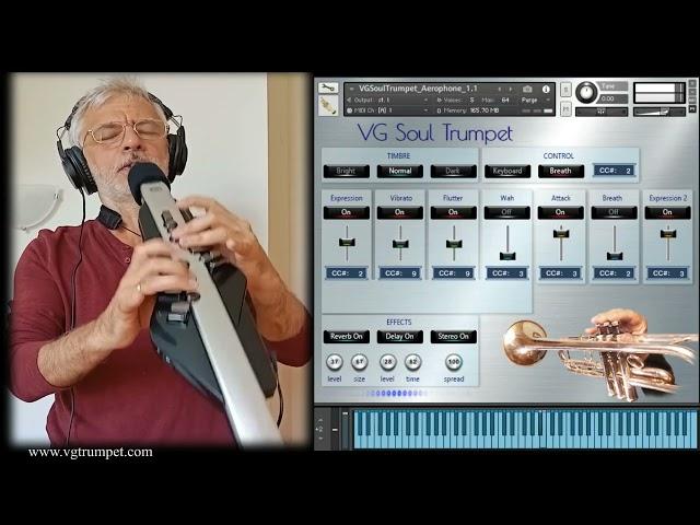 Roland Aerophone Pro AE-30 and VG Trumpet Kontakt sample library. VST brass plugin.