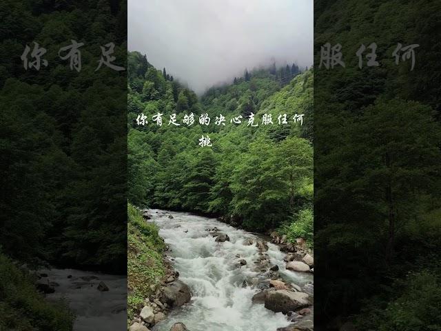 决心 克服 挑战 #正能量 #疗愈 #静心小筑 #女性心灵驿站 #shorts