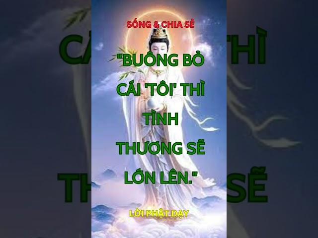 Những lời Phật dạy giúp bạn Tu hành Tinh Tấn hơn ! #ĐứcTín