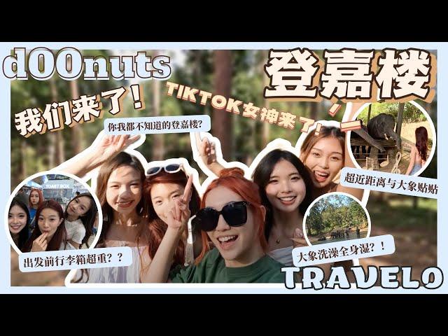 【 d00nuts travel0】登嘉楼我们来了️｜TIKTOK女神也在这｜你我都不知道的登嘉楼｜大象洗澡全身湿｜与大象超近距离贴贴｜登嘉楼必吃的xx