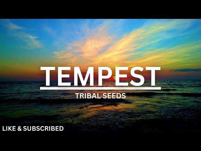 TEMPEST-TRIBAL SEEDS w/lyrics