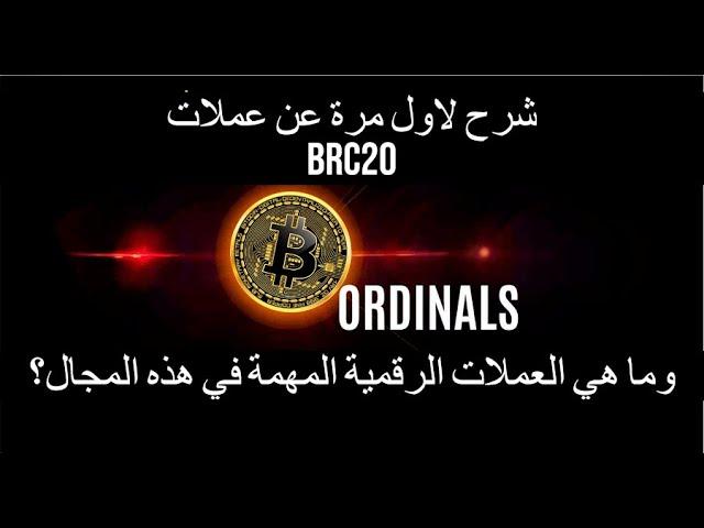 BRC20/ORDINAL PROTOCOL شرح مفصل لفكرة بناء التطبيات والعملات على شبكة البيتكوين باستخدام