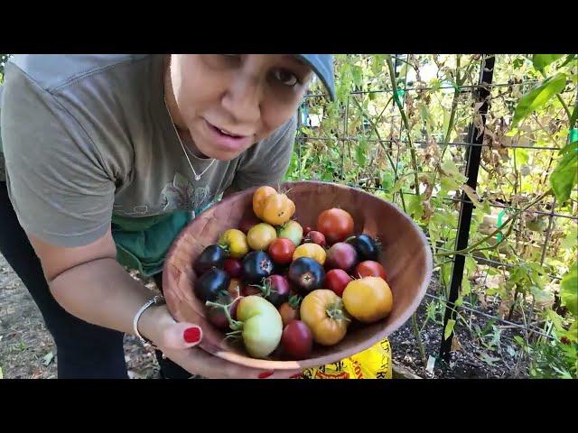 Fliping The Garden To Fall | Gardeing Vlog