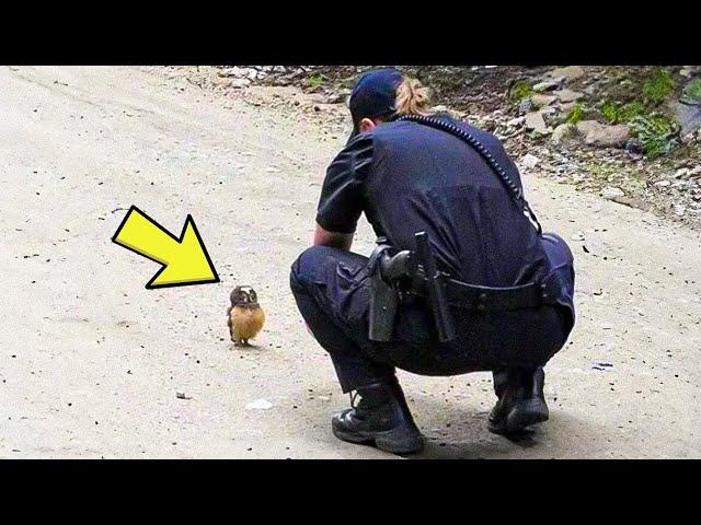 Baby Owl Keeps Following Officer For Help, When She Realizes Why, She Bursts Into Tears