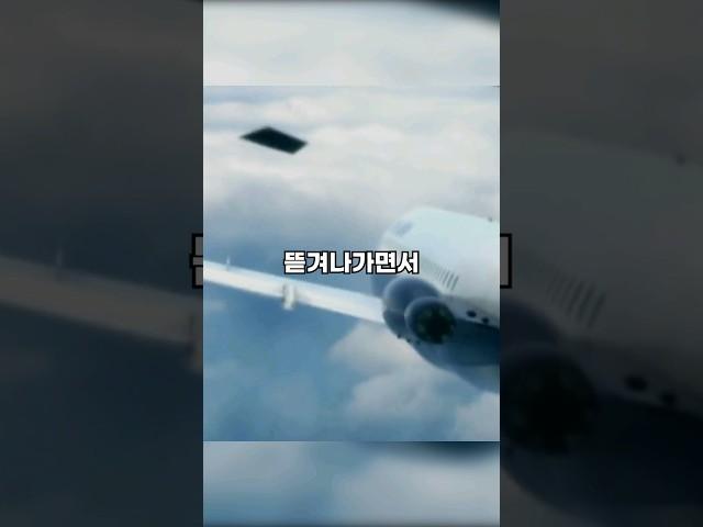 기장을 매달고 추락하던 여객기