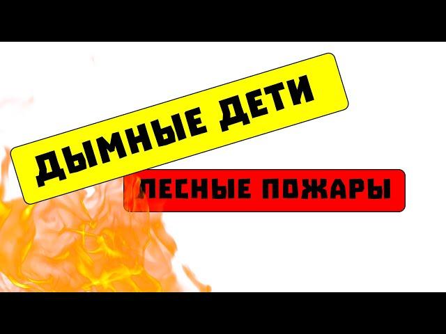 ученые: лесные пожары - это ядерная зима