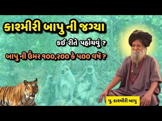 Kashmiri Bapu Asharam Junagadh |આશ્રમે જતી વખતે બતાશે જંગલી પ્રાણી |Jungle Place|કઈ રીતે પહોંચવું ?