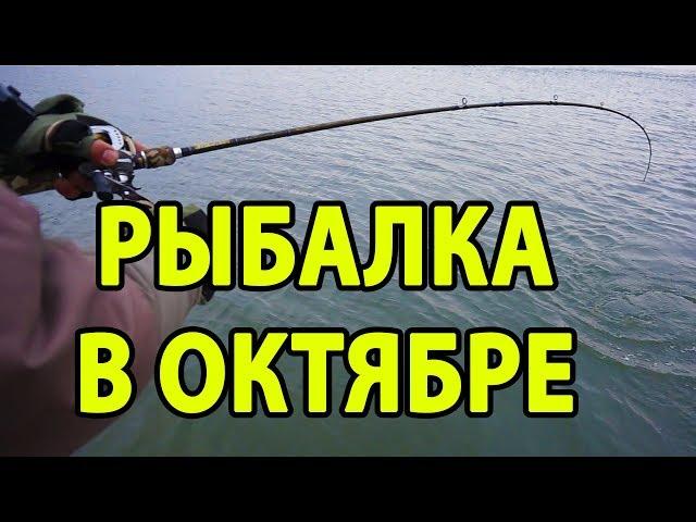 ЗЛЫЕ поклевки на синий...   Ловля щуки в октябре на спиннинг с лодки на реке