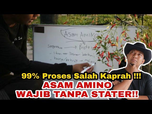 PRINSIP UTAMA PEMBUATAN ASAM AMINO, AWAS 99% ORANG KELIRU !!