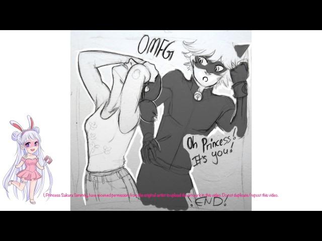 "Maybe This Will Help?" Miraculous Ladybug Comic Dub