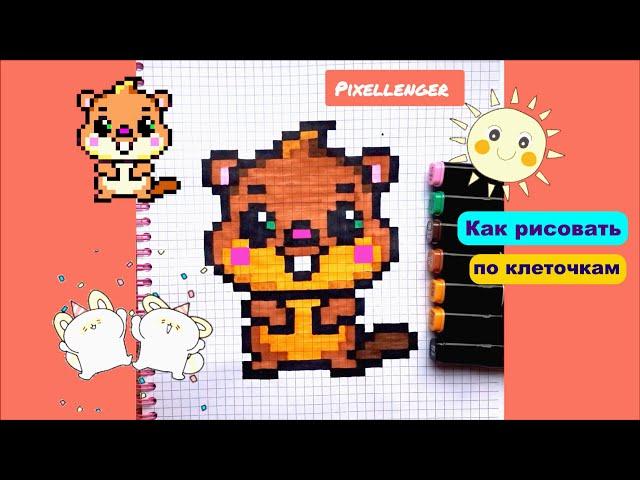 Как рисовать по клеточкам Бобра Простые Рисунки Пиксель Арт How to draw Beaver Simple Pixel Art