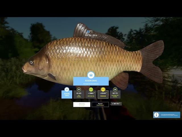 Russian Fishing 4 F1 RARE Trophy - Copper Lake