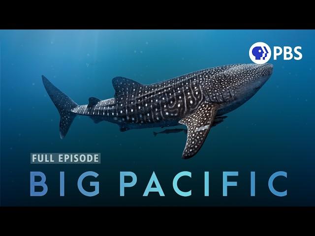 The Mysteries of Earth's Largest Ocean | Big Pacific | Full Episode 1 | PBS