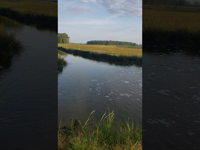 Green goshen water flow