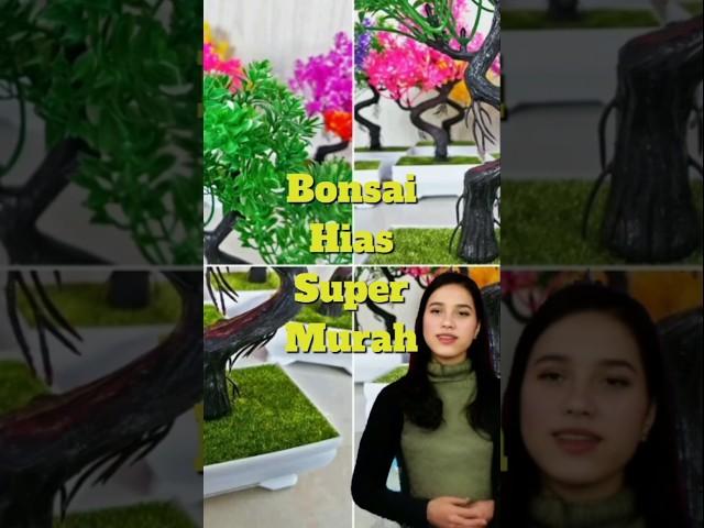 Bonsai Indah #bonsai  #hiasandinding #hiasankreatifcantik