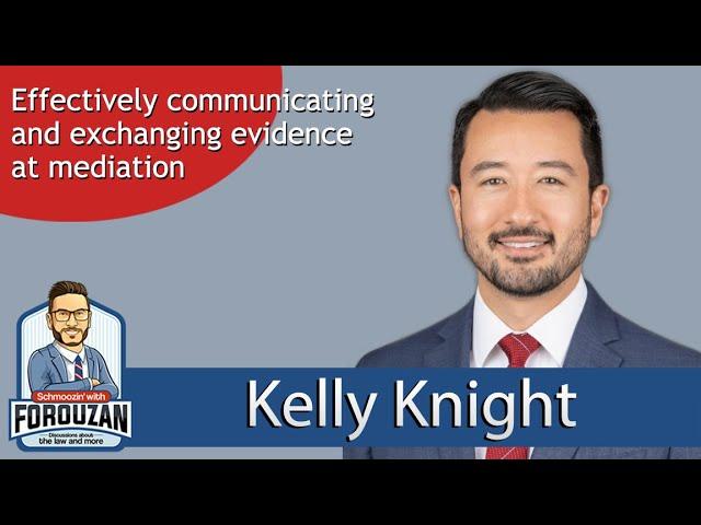 Kelly Knight: How to succeed at mediation - Schmoozin' with Forouzan Podcast (ep. 23)