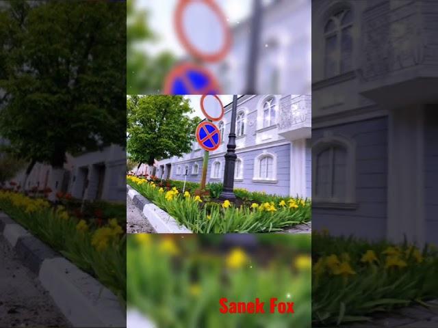 Sanek Fox, Павловск Весна.