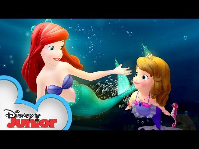 Sofia Meets Ariel! | Sofia the First | @disneyjr