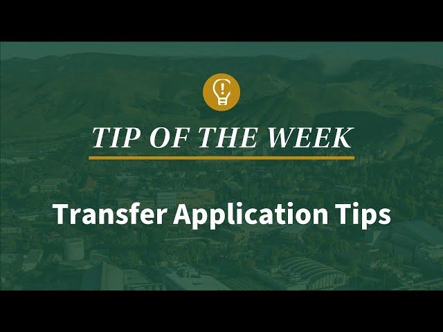 How to Make Your Transfer App More Competitive