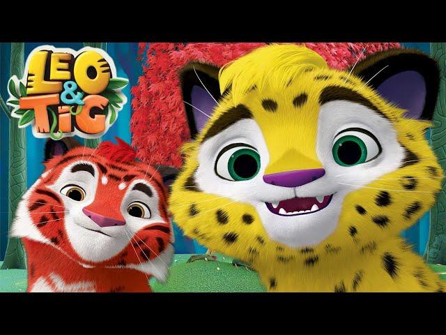 LEO and TIG  LIVE  Best episodes  Moolt Kids Toons Happy Bear