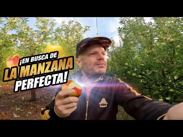 ¡En busca de LA MANZANA PERFECTA! | FACUNDO