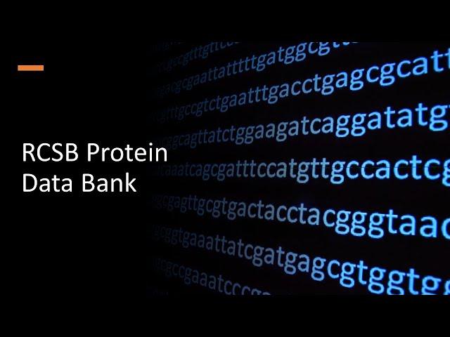 RCSB Protein Data Bank