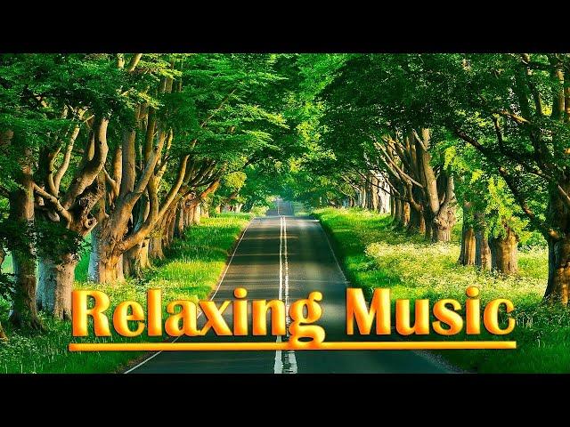 Tranquil Serenity: Deep Relaxation Meditation Music for Stress Relief and Inner Peace