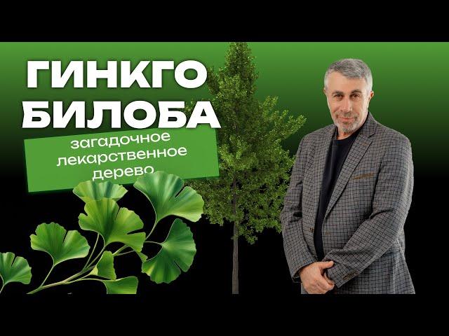 Гинкго билоба: загадочное лекарственное дерево