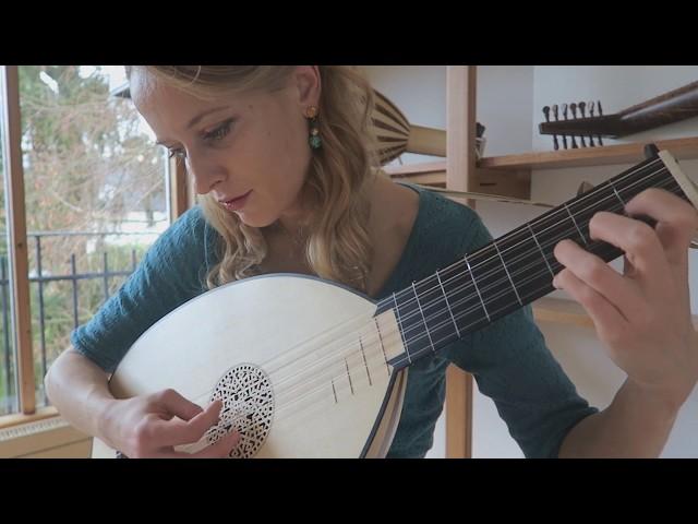 Ieva Baltmiskyte plays Pleurez Mes Yeux (Sandrin) by Albert de Rippe on 6 course lute by Muzikkon