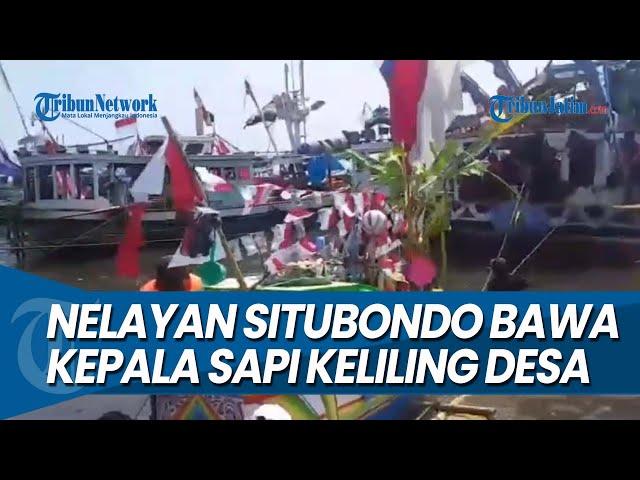 KEPALA SAPI DIARAK KELILING DESA, Tradisi Petik Laut dengan Larung Sesajen di Situbondo