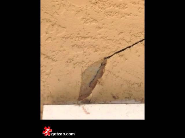 How To Repair A Stucco Crack #diy