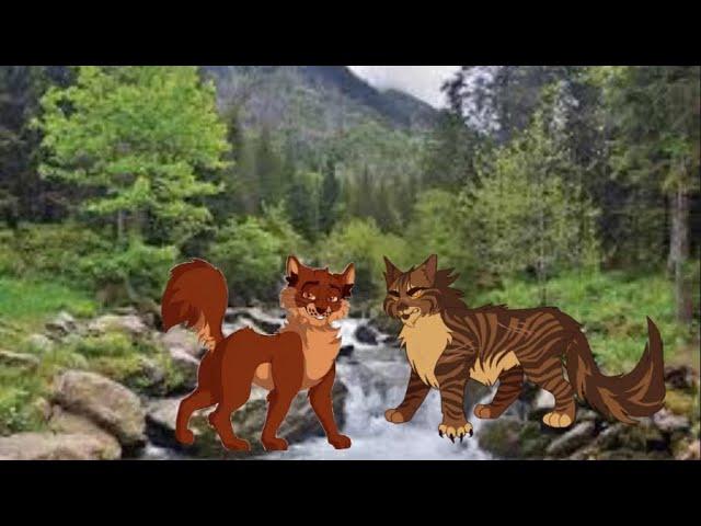 Warrior cat rewritten by someone who doesn’t read warrior cat (first book) (read desc)