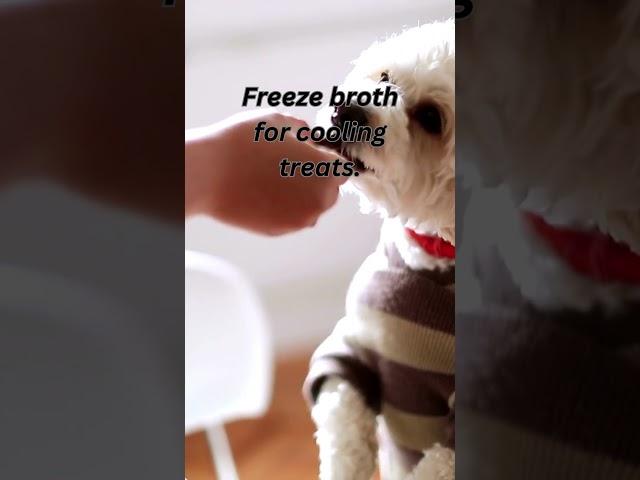 Cool Pups Love Frozen Treats with Broth #dognutritiontips #dog #petnutrition