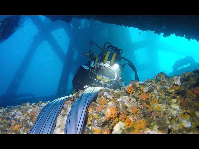 Saturation Diving: Manta Rays, night shift Caribbean & midwater Mexico