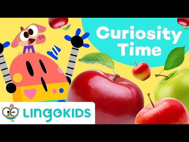 WHERE DO APPLES COME FROM?   Educational Video for Kids | Lingokids