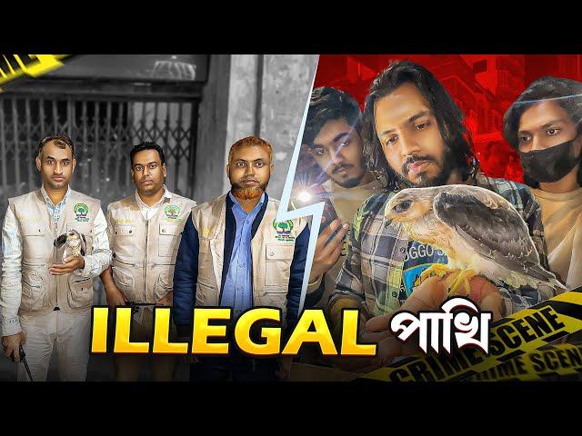 “গোপন তদন্তে ধরা খেলো অবৈধ পাখি বিক্রেতা! | Exposing Wildlife Trade”