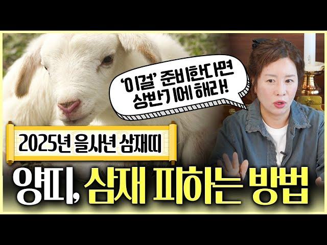 2025년 삼재띠 양띠가 '삼재' 피하는 최고의 방법 '이것'만 기억하고 조심하자!? 삼재띠 양띠 완벽분석