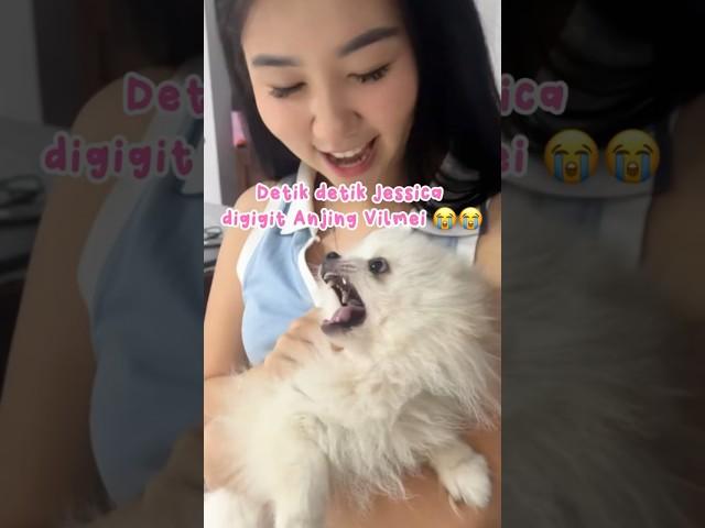 TAKUT BANGET SAMA ANJING